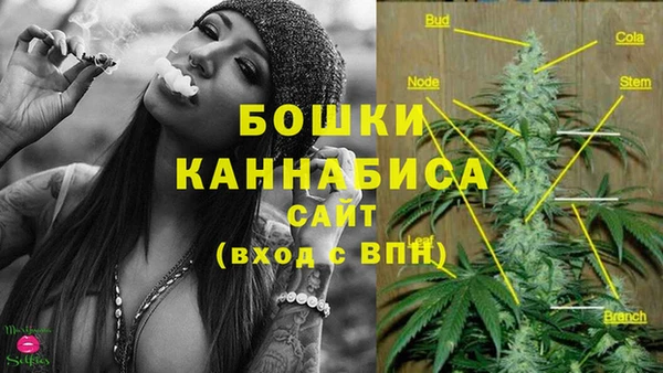 шишки Заволжье