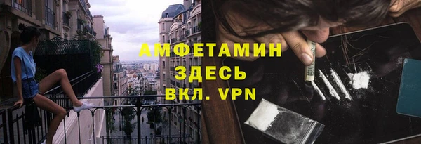 шишки Лагань