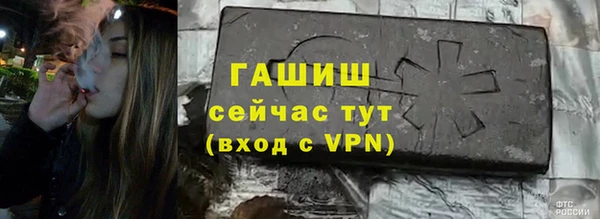 шишки Заволжье