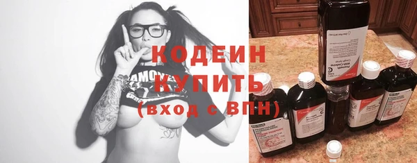 шишки Заволжье