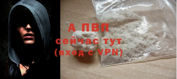 индика Заводоуковск