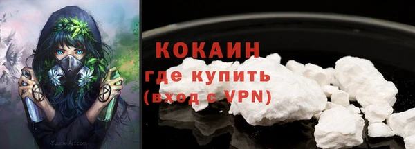 индика Заводоуковск