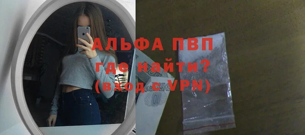 индика Заводоуковск