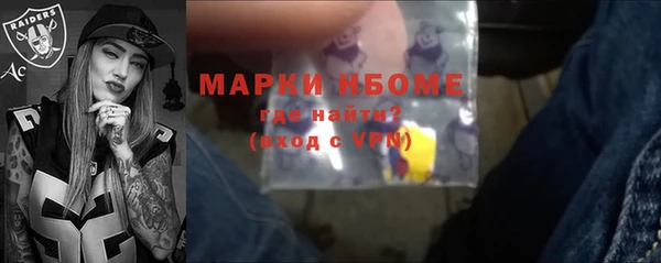 шишки Заволжье
