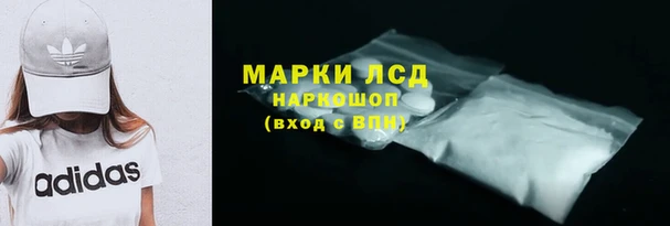 индика Заводоуковск