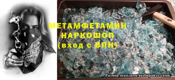 шишки Заволжье