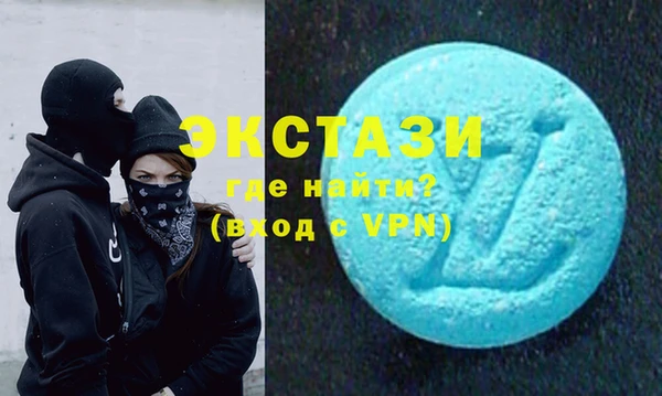 индика Заводоуковск