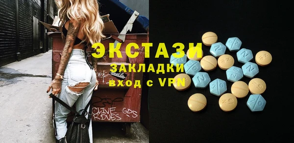 индика Заводоуковск