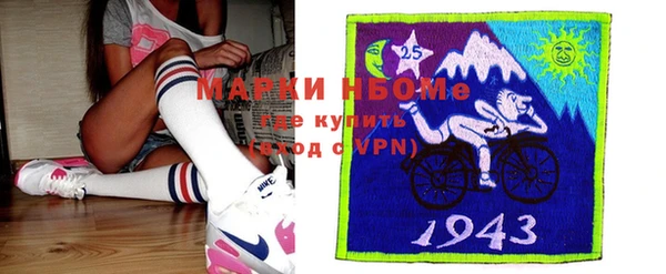индика Заводоуковск