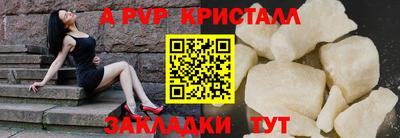 гидра Гагарин