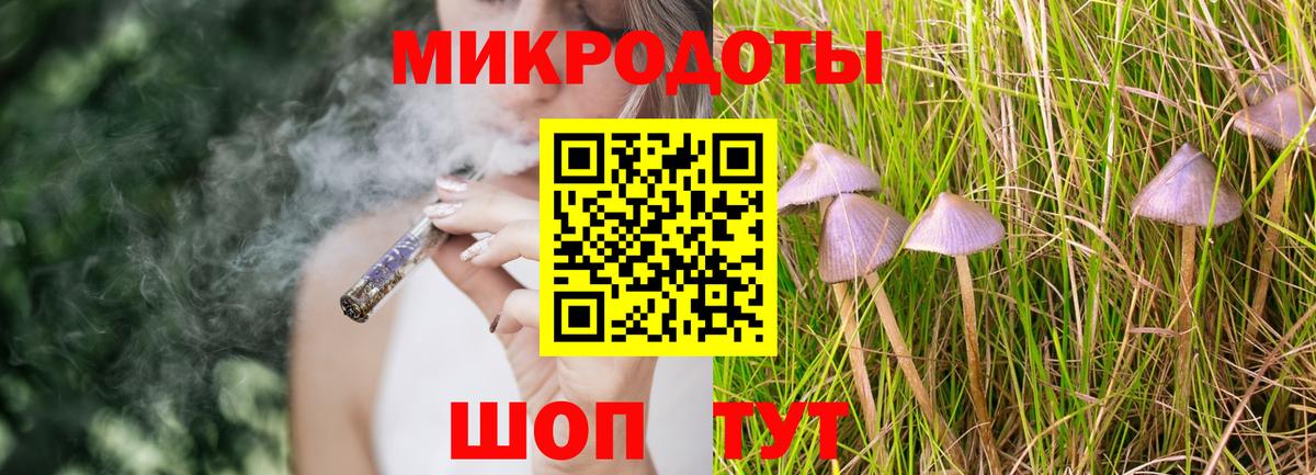 Псилоцибиновые грибы Magic Shrooms Звенигород