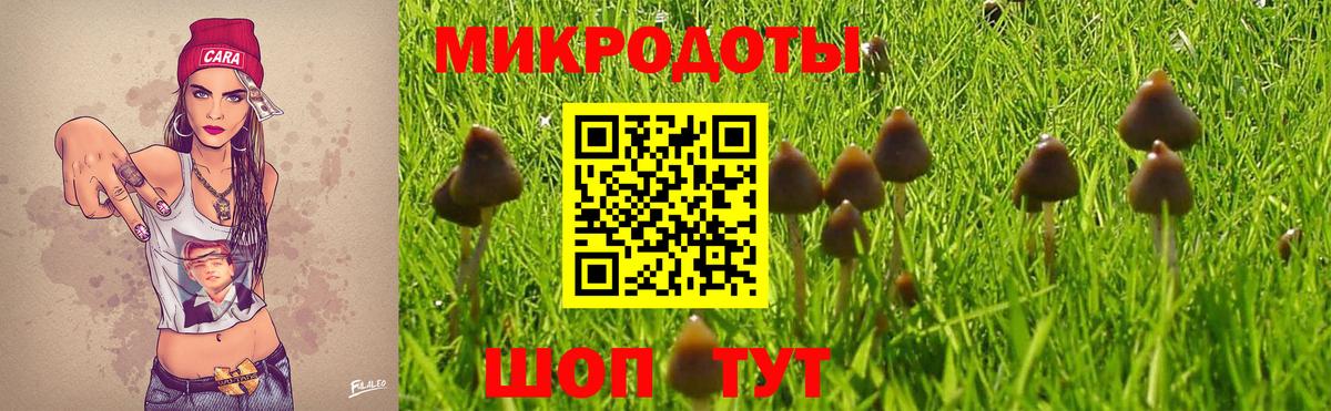 Галлюциногенные грибы MAGIC MUSHROOMS  Звенигород  Галлюциногенные грибы Psilocybe 
