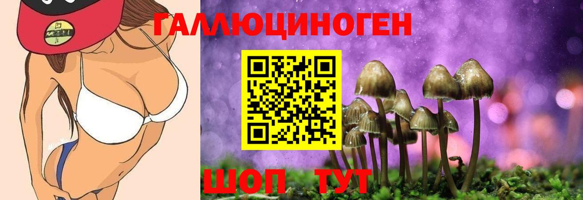 Звенигород  Псилоцибиновые грибы Cubensis  купить наркотики цена  Вход с VPN  Псилоцибиновые грибы мицелий 