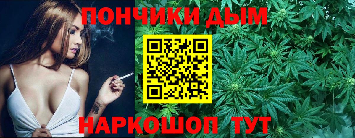 Канабис планчик Звенигород